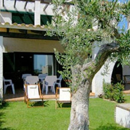 Oliveres 46 El Perelló Kültér fotó
